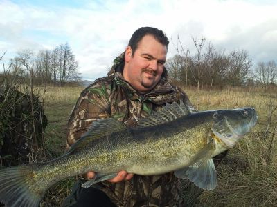 Zander, 76cm gefangen im Dezember 2011 von Mirco Frank  im Teich Wittig.