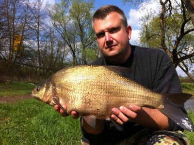 Brasse, 60 cm, 3kg,  gefangen im April 2013 von Florian Leidner im Teich Wittig.