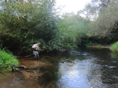 Fishhunting - Spannung pur.jpg
