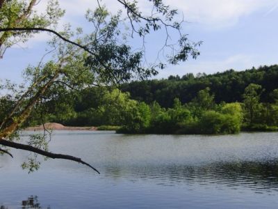 Insel im Stadtteich 2  -  03.06.2011.jpg