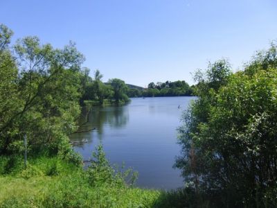 Stadtteich 1-im Juni 2011.jpg