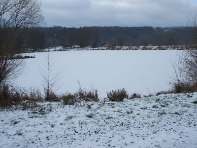Stadtteich3imWinter2010.jpg