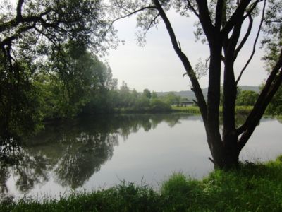 Teich_Wittig_Mitte_Mai.jpg