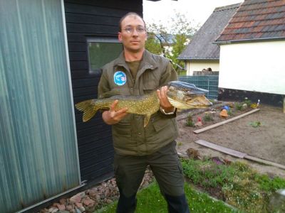 Hecht 84cm, 3,8kg, gefangen im Juni 2014 von Mathias Zilch im Stadtteich 2.