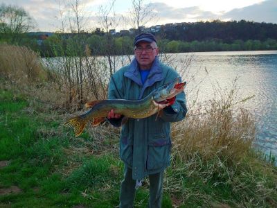 Hecht, 90cm, 4,55kg, gefangen im April 2015 von Reiner Zilch in der Fulda.