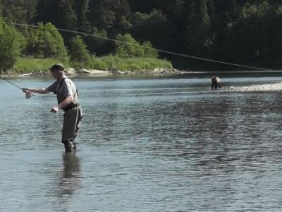 34-Fischen am Kitimat mit Grizzly.jpg