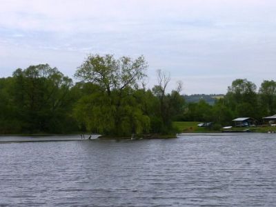 Stadtteich 1- Mai 2010.jpg