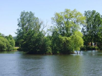 Insel im Stadtteich 1.jpg