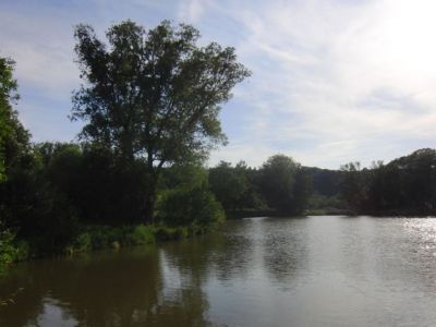 Stadtteich 3  -   03.06.2011.jpg