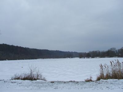 Stadtteich1imWinter16122010.jpg
