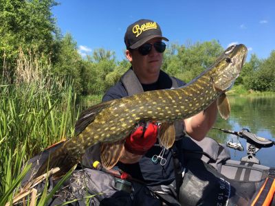 Hecht, 79cm,  gefangen im Mai 2017 von Henrik Wollrath im Stadtteich 1 vom Bellyboat