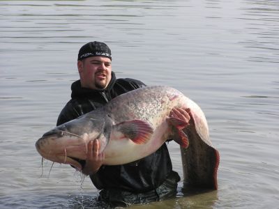 Waller 2,11m gefangen im Po in Italien. April 2005 von Mirco Frank.