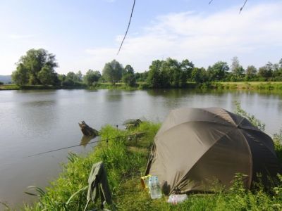 Stadtteich 3 -   03.06.2011.jpg