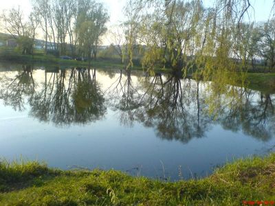 Teich Berkwiese bei Breitenbach in Abendstimmung(2).JPG