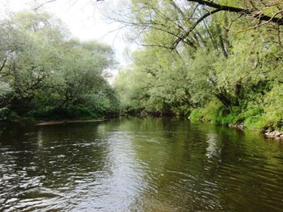 Unsere wilde Fulda.jpg