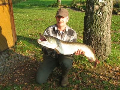 Hecht, 108cm, 8,15kg, gefangen im Oktober 2010 von Norbert Becker in der Fulda.