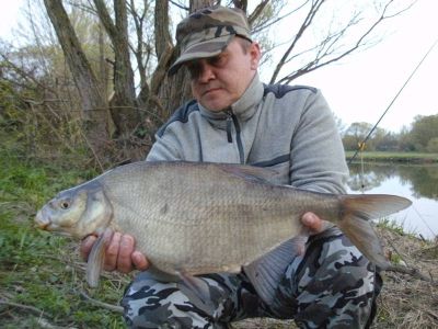 Brasse, gefangen im April 2011 von Marco Gieling im Teich Wittig.