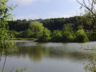 Insel im Stadtteich 2-03.06.2011.jpg