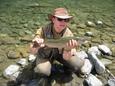Regenbogenforelle am Palmengarten Rangikitei River.jpg