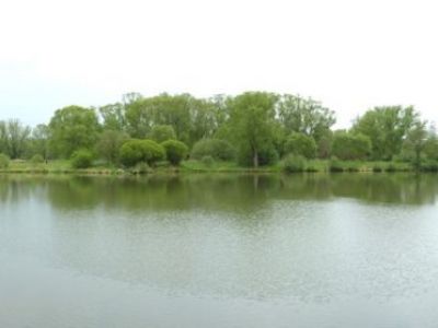 Stadtteich 3 Panoramabild 08.05.2010.jpg