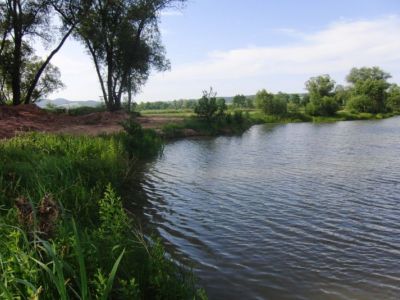 Stadtteich- 03.06.2011.jpg