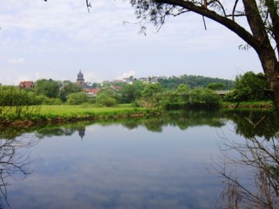 Teich_Wittig_Mitte_Mai_und_Breitenbach.jpg