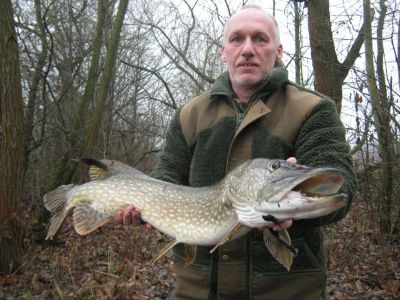 Hecht, 98cm, 5,4kg, gefangen im Dezember 2014 von Ulrich Bode im Stadtteich 1.