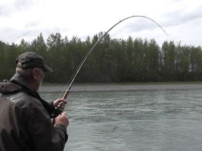 An der Kitwangamuendung. Gerhard im Drill mit einem Skeena-King.