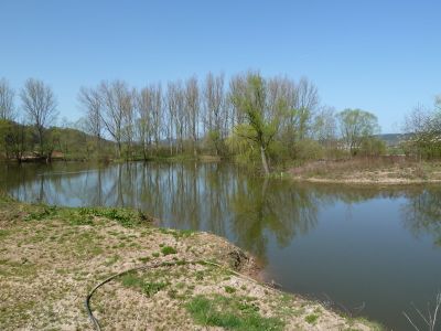 Stadtteich 2 im Fruehjahr 3.JPG
