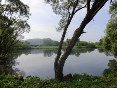 Teich_Wittig_im_Mai.jpg