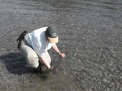 47-Catch and Release.jpg