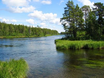 Bild 37 Glomma.jpg