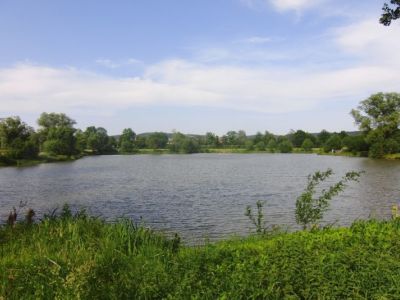 Stadtteich 3  03.06.2011.jpg