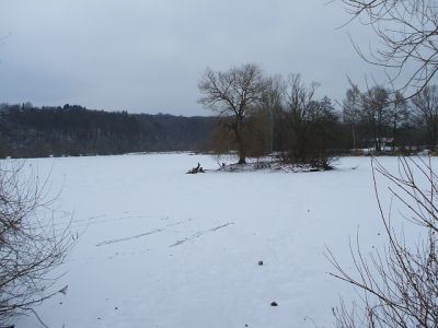Stadtteich1imWinter16122010_2.jpg
