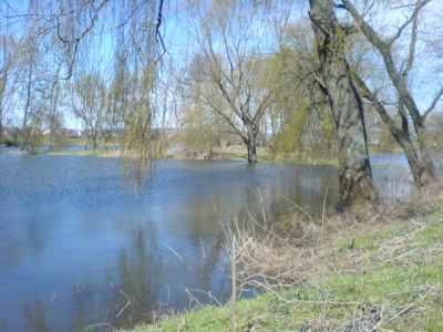 Teich Berkwiese bei Breitenbach im Fruehjahr(1).JPG