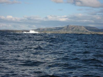 norge 2012 026.jpg