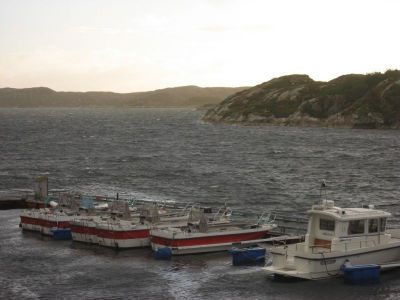 norge 2012 076.jpg
