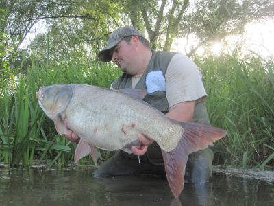 Marmorkarpfen, 23 Pfund, gefangen im Juni 2010 von Mirco Frank im Stadtteich 3.