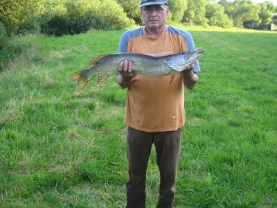 Hecht, 86cm, 4,8kg, gefangen im Juli 2013 von Reiner Zilch in der Fulda.