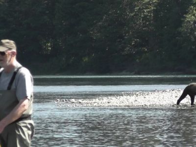 36-Fischen am Kitimat mit Grizzly.jpg