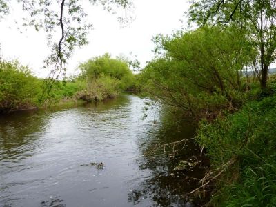 Fulda bei Teich Breitenbach.JPG