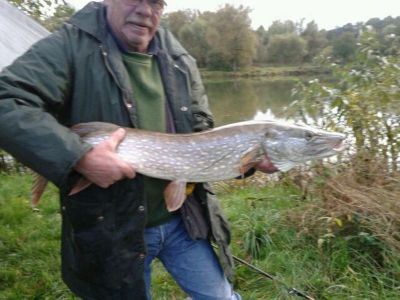 Hecht,  95cm,  5,5kg,  gefangen im Oktober 2013 von Hans-Peter Lehmann im Stadtteich 3.