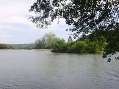 Stadtteich 2-03.06.2011.jpg
