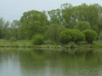 Stadtteich 3 Panoramabild - 08.05.2010.jpg