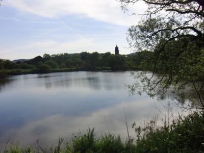 Teich Wittig 03.06.2011.jpg