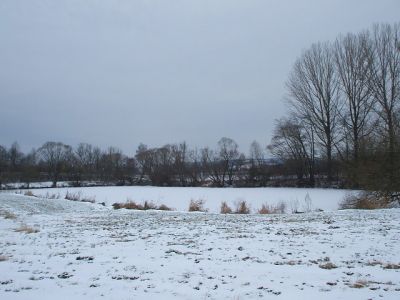 TeichamWittig2010_2.jpg