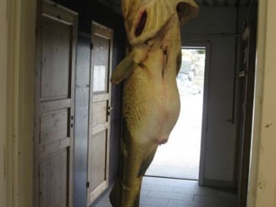 norge 2012 053.jpg