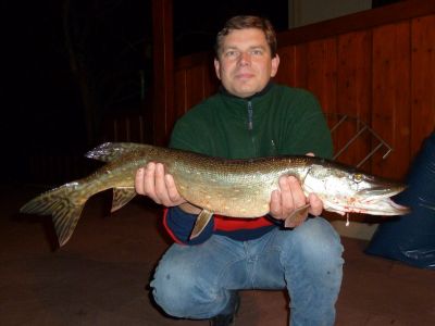 Hecht, 82cm gefangen im Dezember 2011 von Stefan Hoffmann  im Teich Wittig.