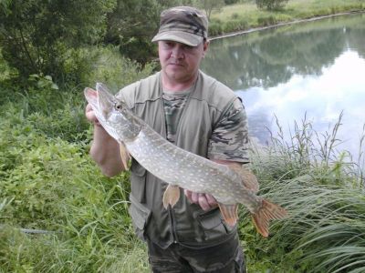 Hecht, 62 cm, gefangen im Juni 2012 von Marco Gieling im Stadtteich 3.