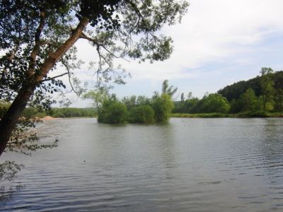 Stadtteich 2.jpg